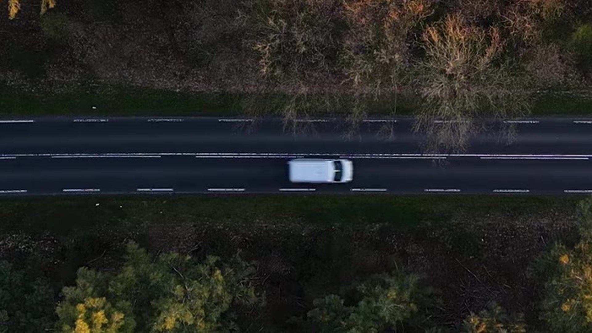 Carro em estrada de floresta ao entardecer, a primeira das quatro cenas de proteção da Távora